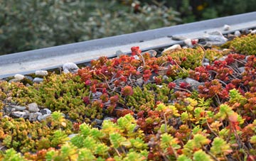the cost of Brettenham green roof installation
