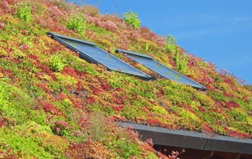 Brettenham living roof systems